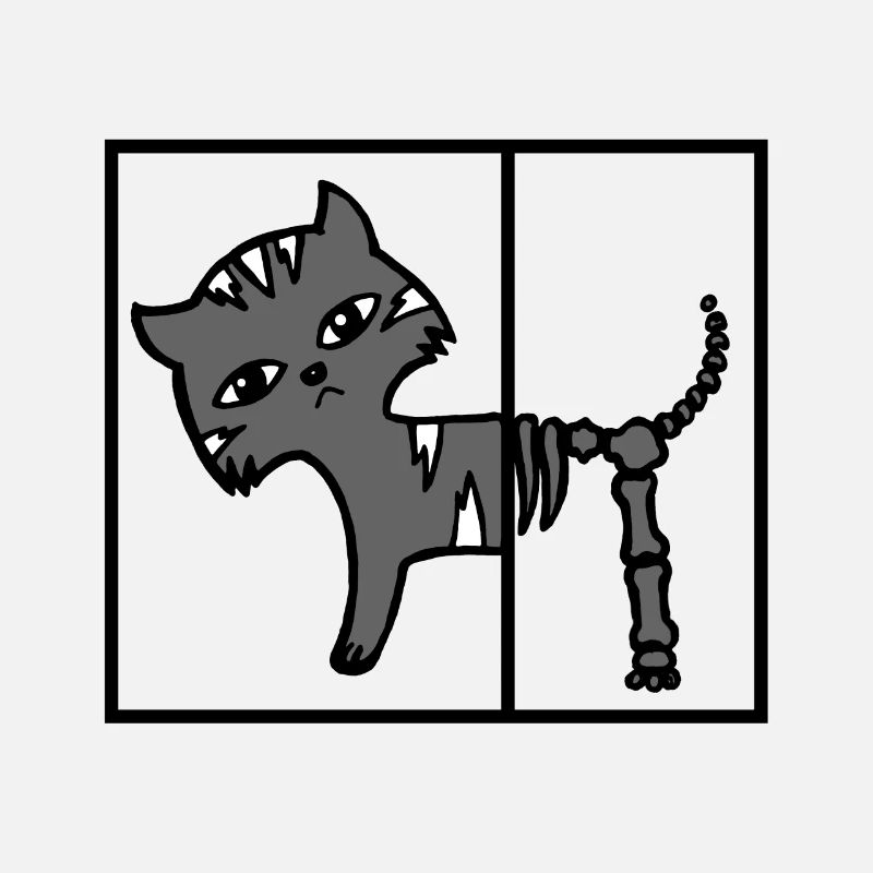 Schroedingers Cat Schrödingers Katze Physik
