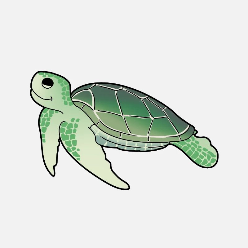 Sea Creatures Turtle Turtles