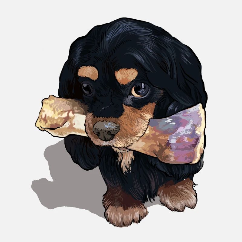 my bone