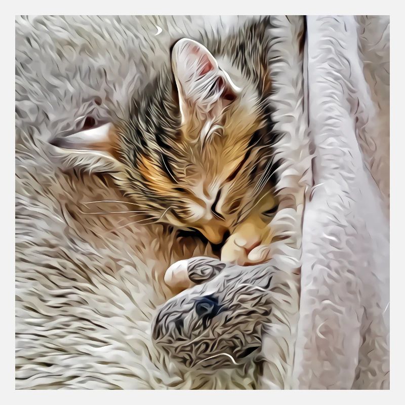 Chaton dormant avec sa souris jouet préférée