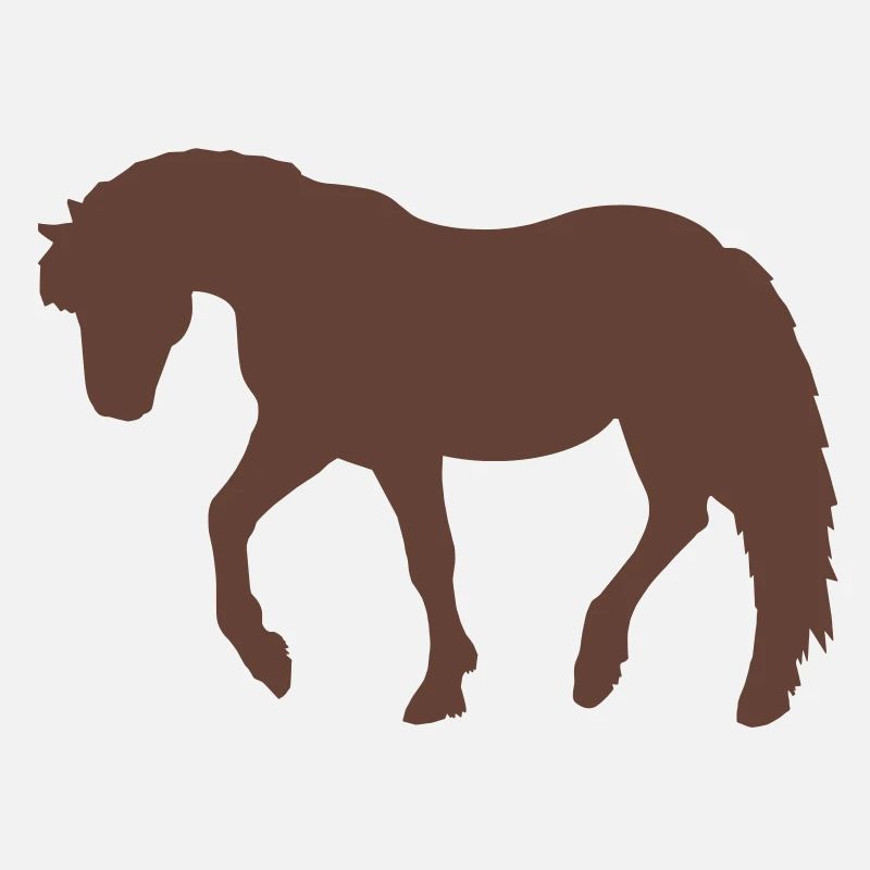 Pony