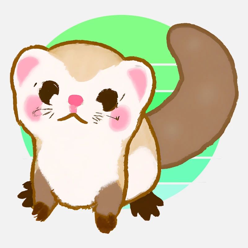Furet Coucher de soleil
