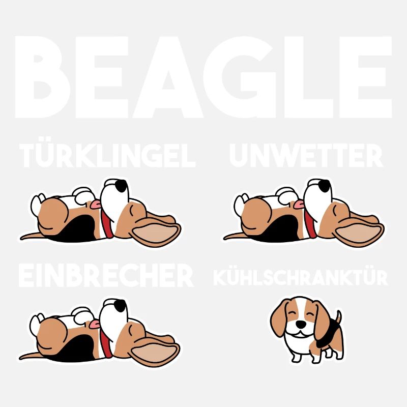 Hund Beagle