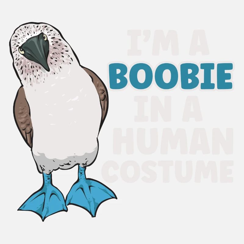 Blaufußtölpel Blue-footed Booby Seevogel