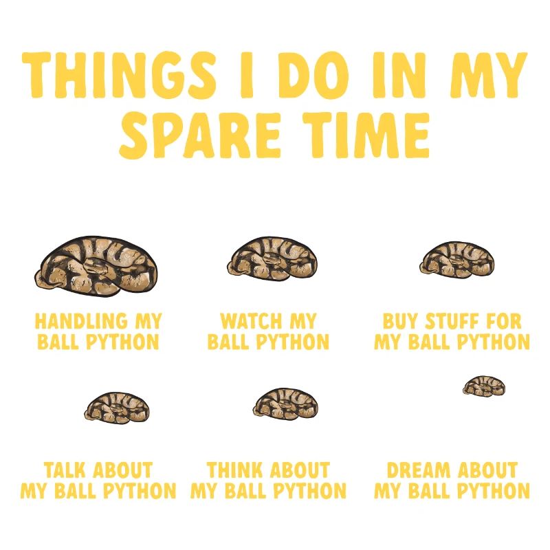 Ball Python Snake King Python