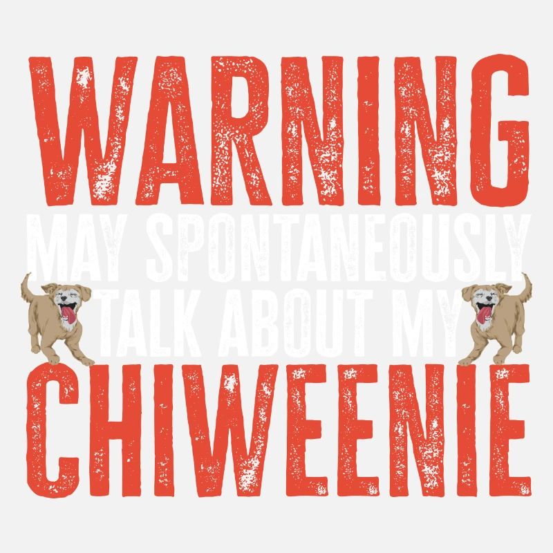 Chiweenie Dog