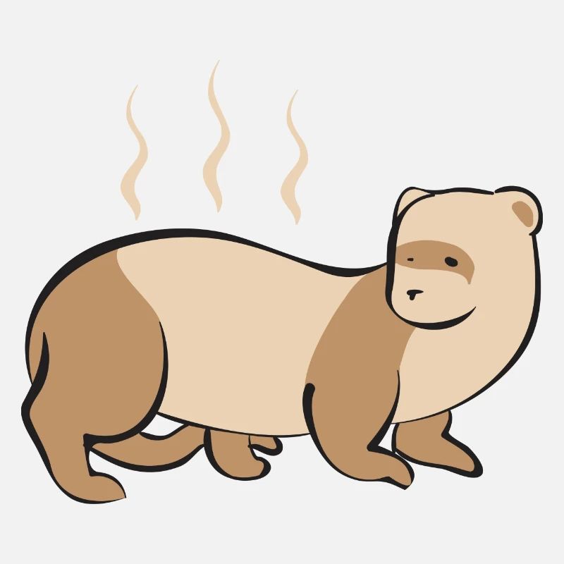 Furet, propriétaire de furet