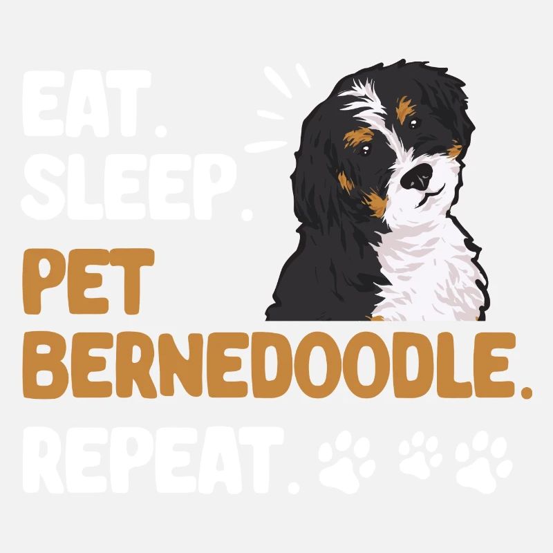 Bernedoodle Hund