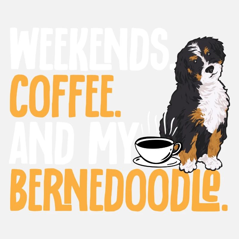 Bernedoodle Hund