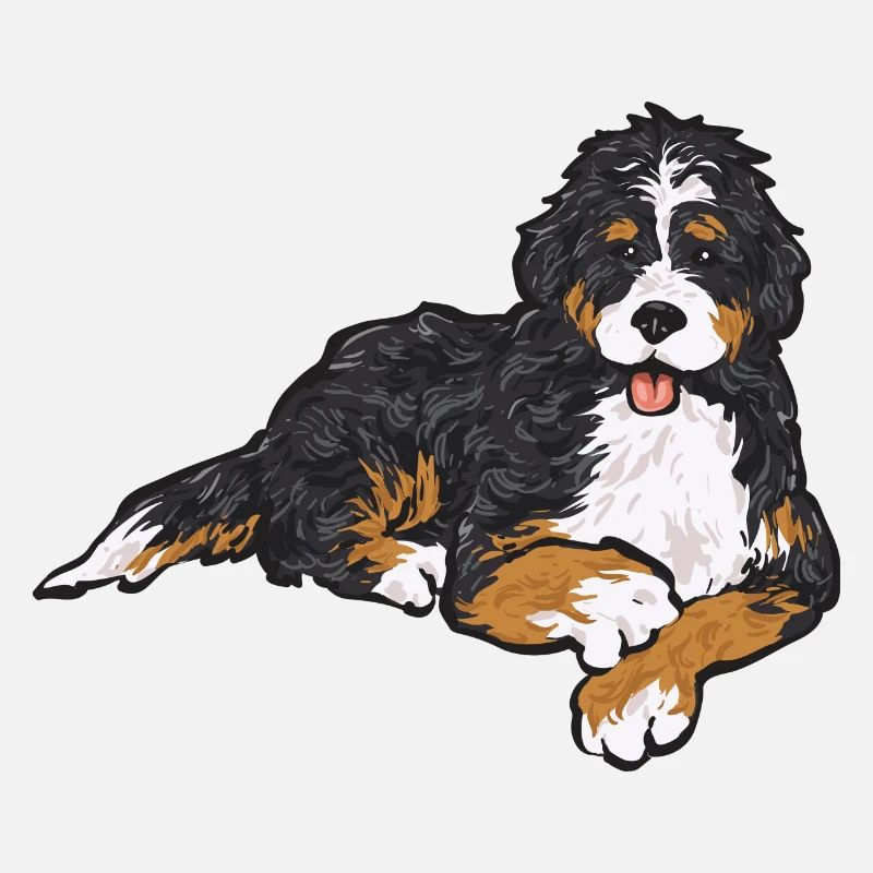 Bernedoodle Hund