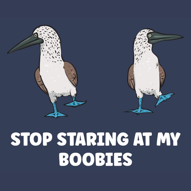 Blue-footed Booby Seabird Blue-footed Booby Seabird