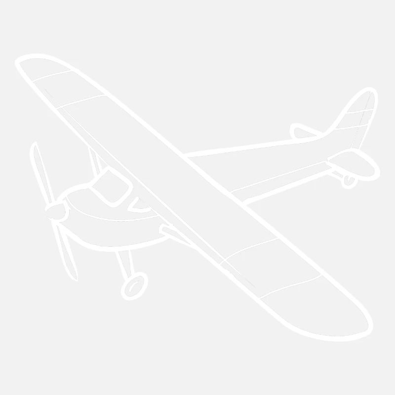Remote Controlled Airplane Model Airplane