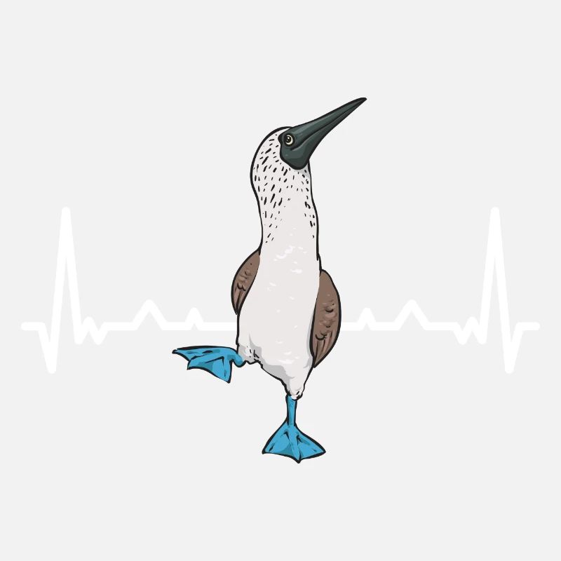 Blaufußtölpel Blue-footed Booby Seevogel