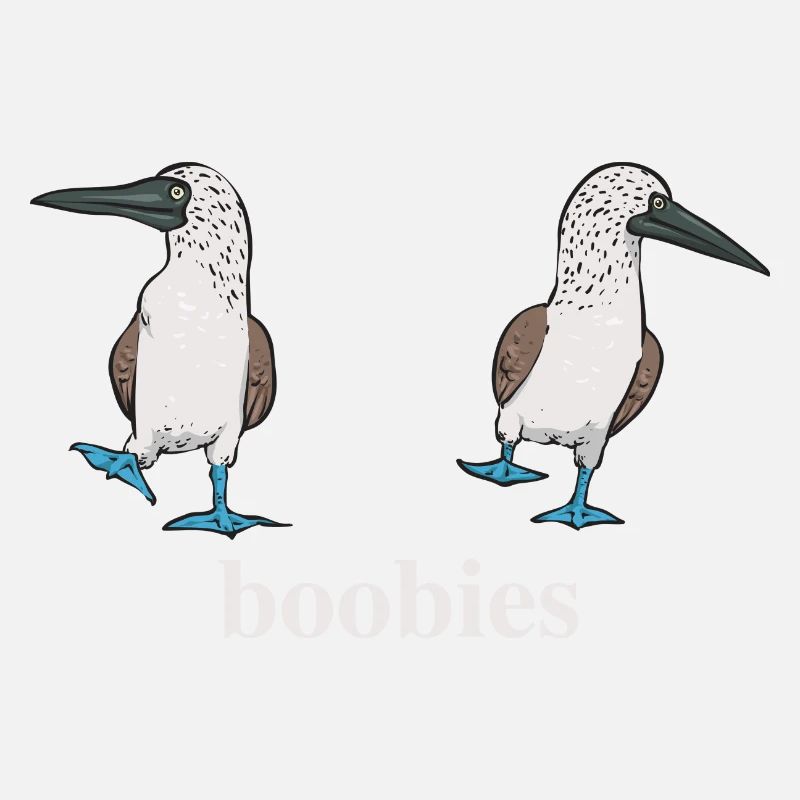 Blue-footed Booby Seabird Blue-footed Booby Seabird