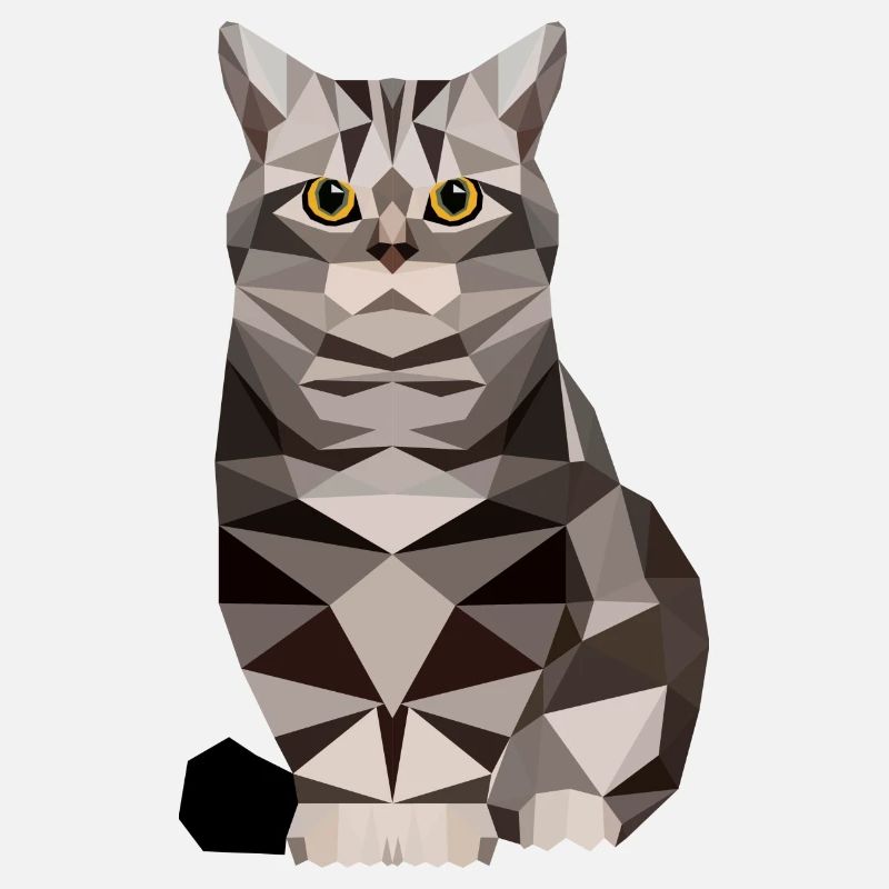 Cat polygon House cat kitten cat