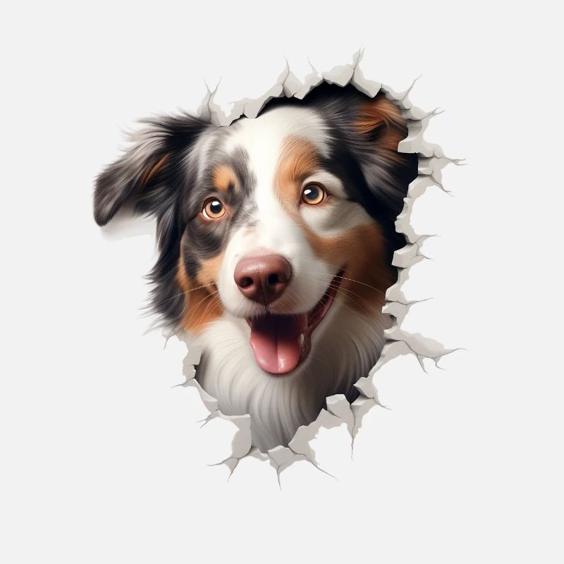 Australian Shepherd Owner - Perfect Aussie