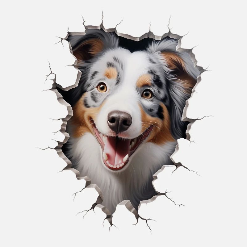 Australian Shepherd Owner - Perfect Aussie