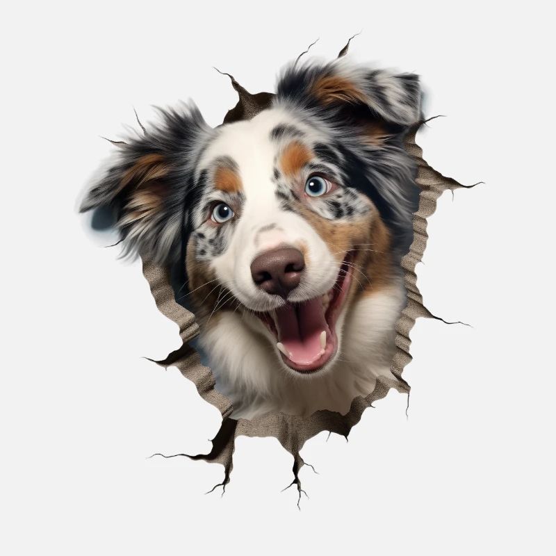 Australian Shepherd Owner - Perfect Aussie