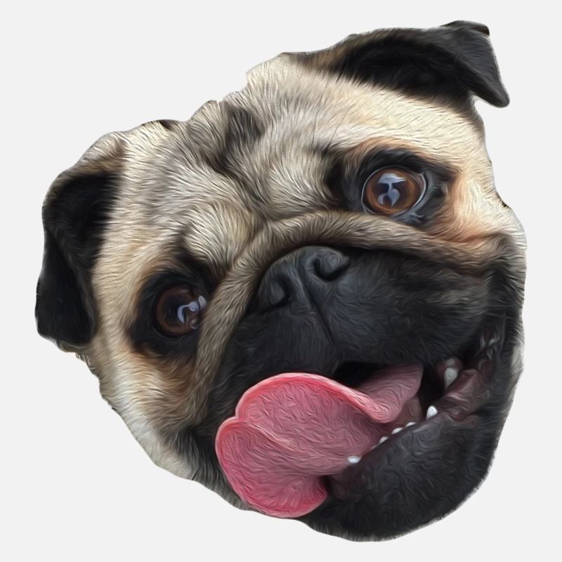 Mops