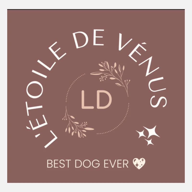 L'étoile de Vénus ✨