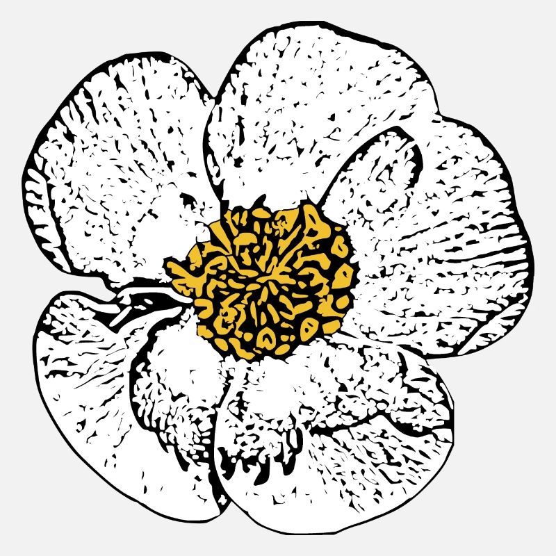 Blume weiß weiße Blumen Geschenk Muttertag Mutter