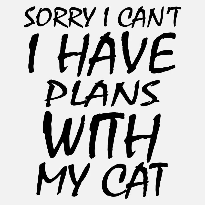 Chat Katze