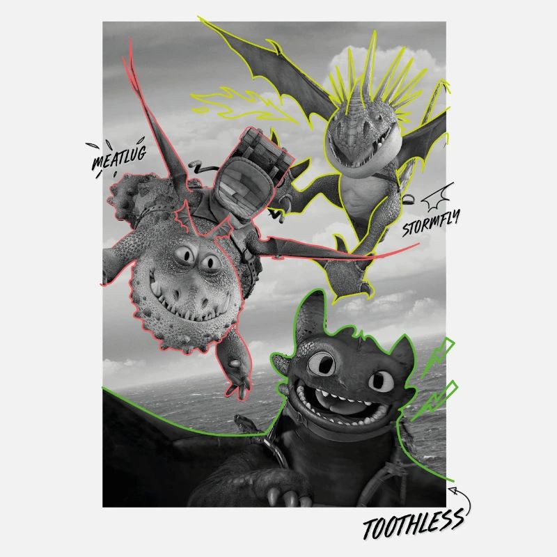 How To Train Your Dragon Flying Dragons With Names