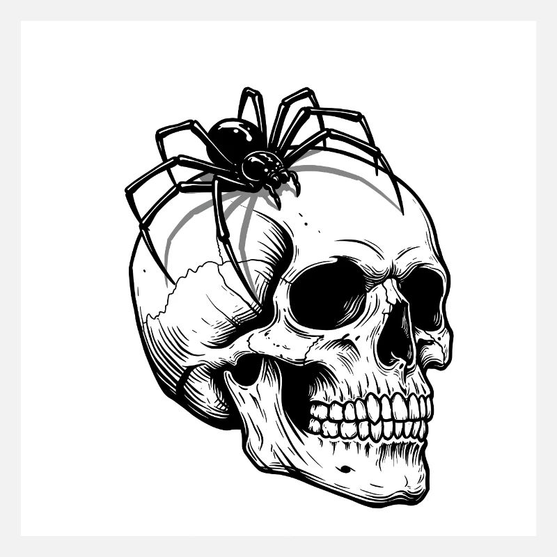 Skull & Spider - Quand la mort rampe