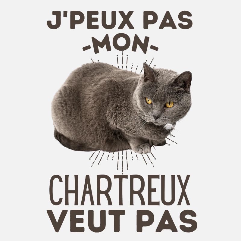 Chat de race chartreux