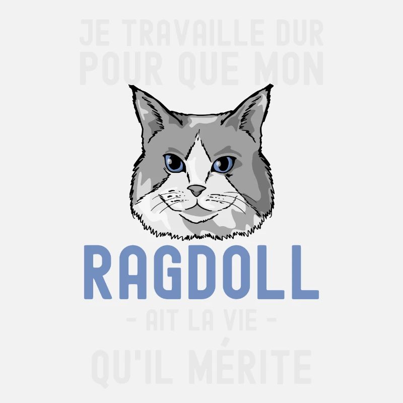 Chat mignon de race Ragdoll