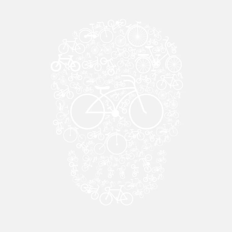 Bicycle Skull