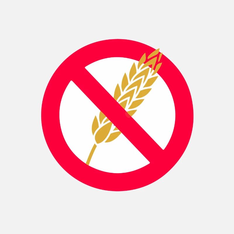 No Wheat Passover Jewish Celebration Gift