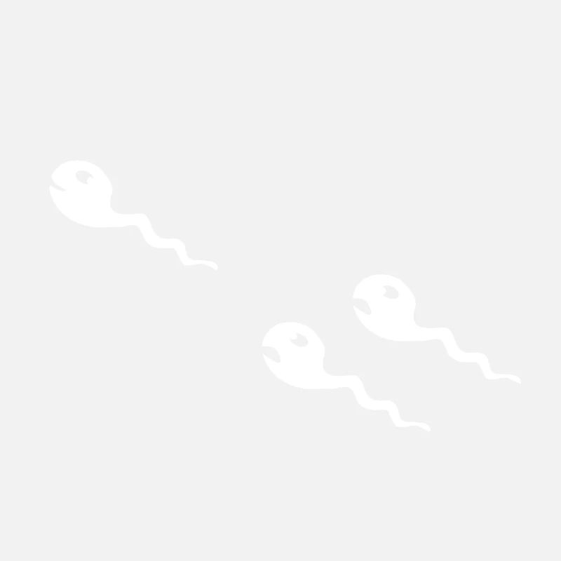 spermatozoide