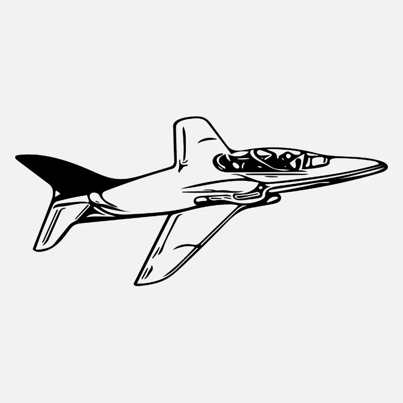 Jet Flugzeug Flieger