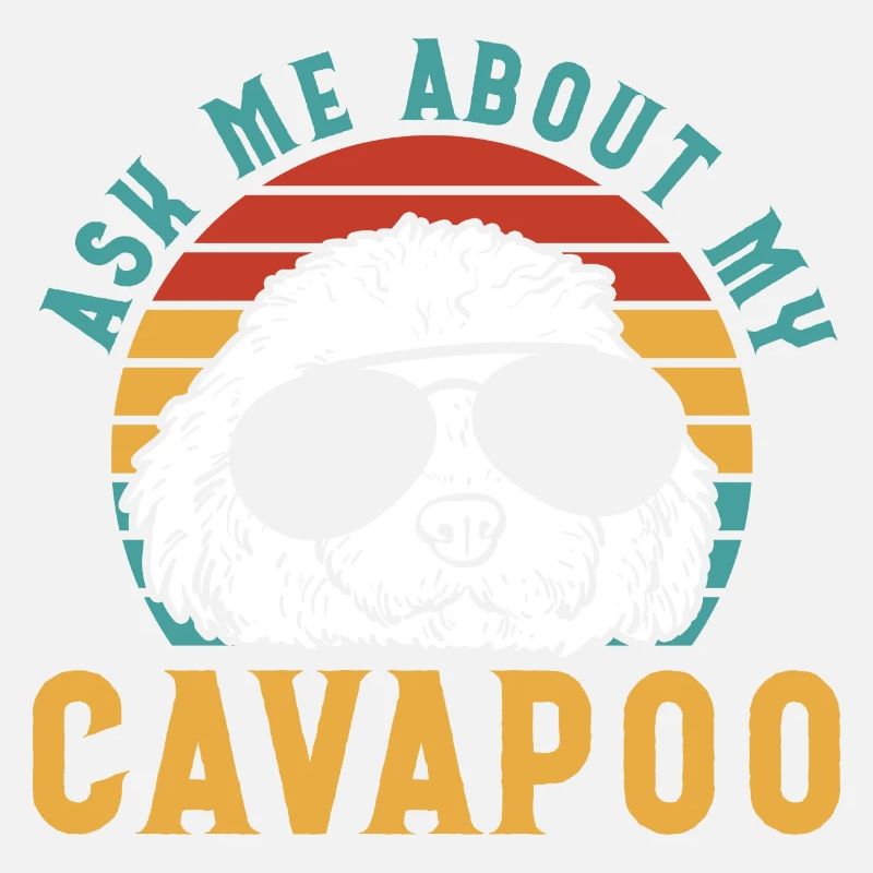 Cavapoo Cavoodle Capoodle Hund