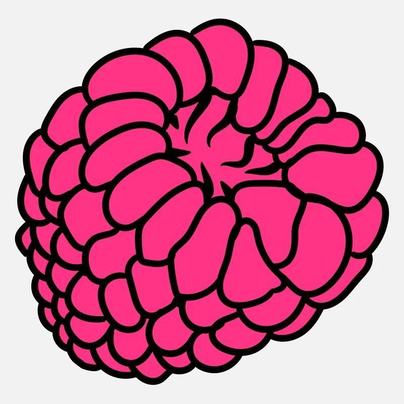 baies de framboise