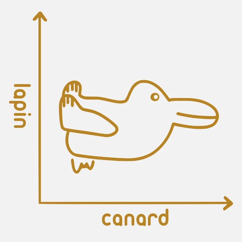Lapin & Canard