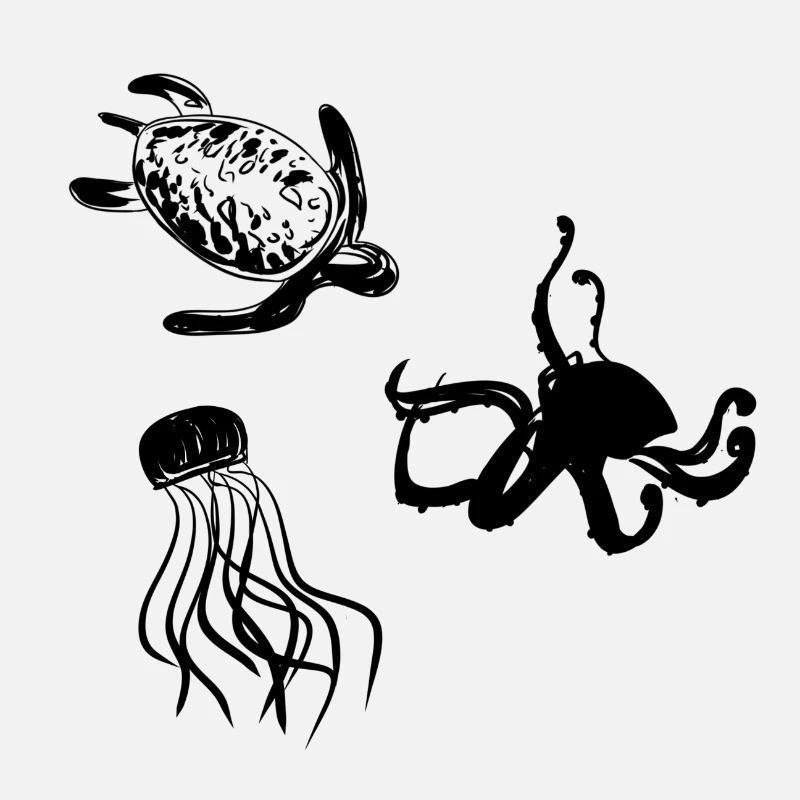 animals marine animals underwater nature pattern