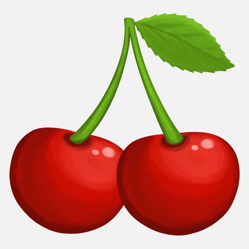 Two sweet red cherries