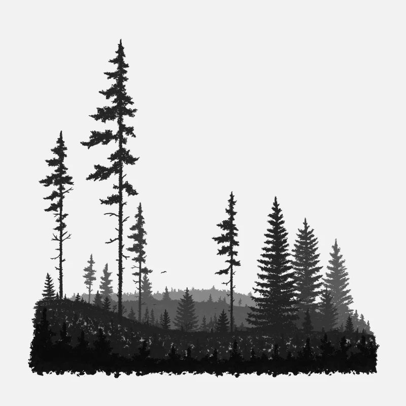 Vast forest