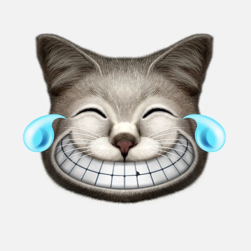 EMOTIONS CATBURST LACHEN