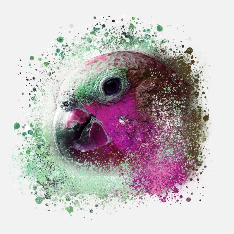 Papagei, ara, aquarell vogel, graffiti,bunt