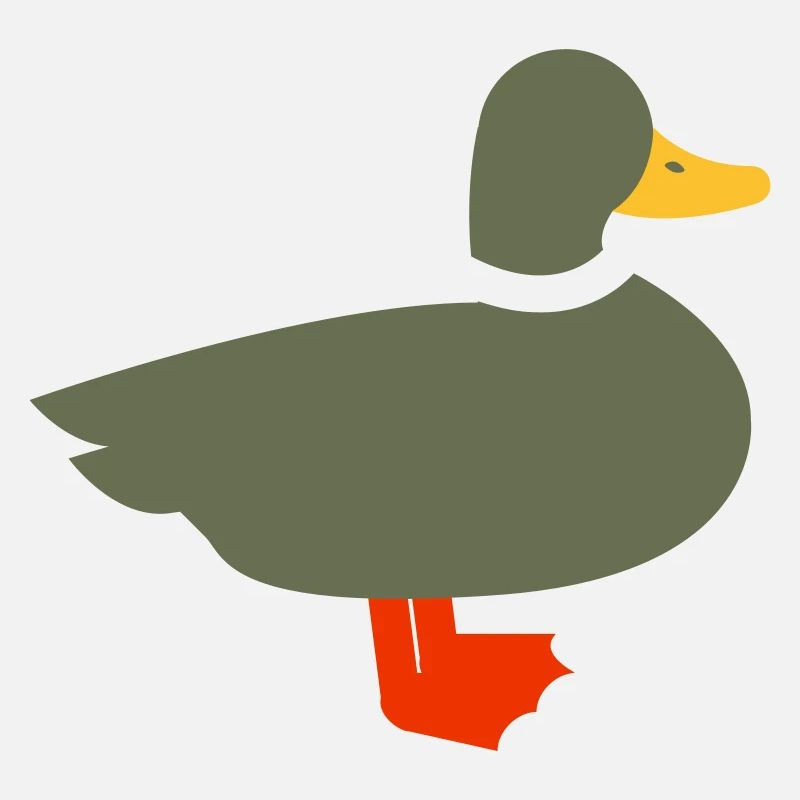Duck