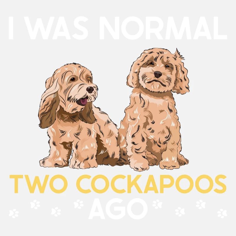 Cockapoo Chien