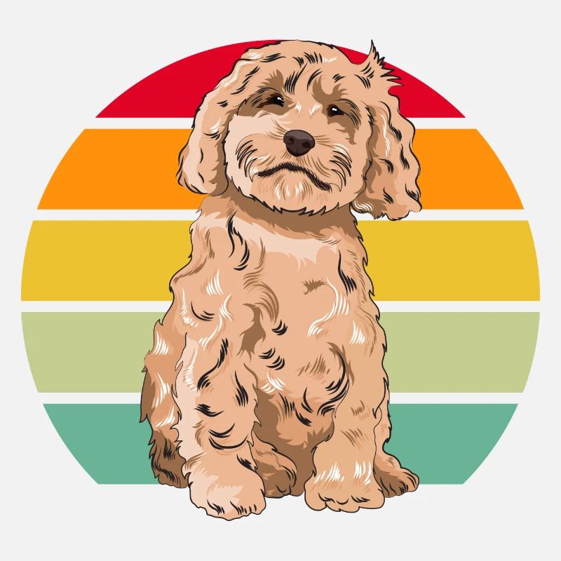 Cockapoo Chien