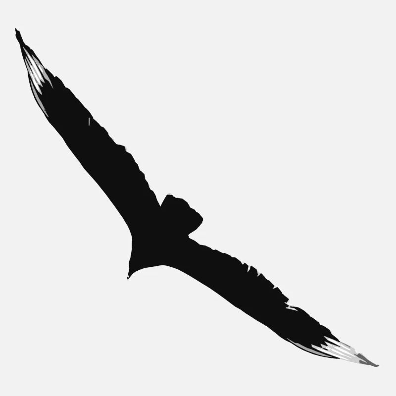 Flying eagle