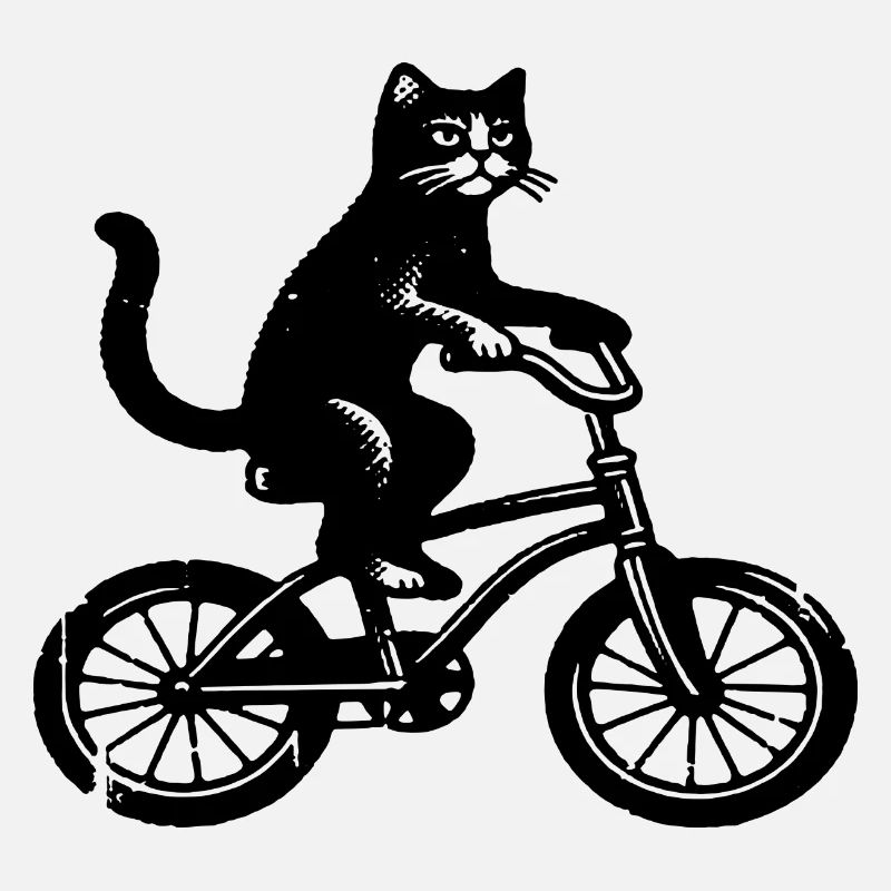 Un chat fait du vélo