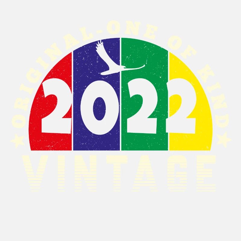 Vintage 2022 Retro - Bursdag