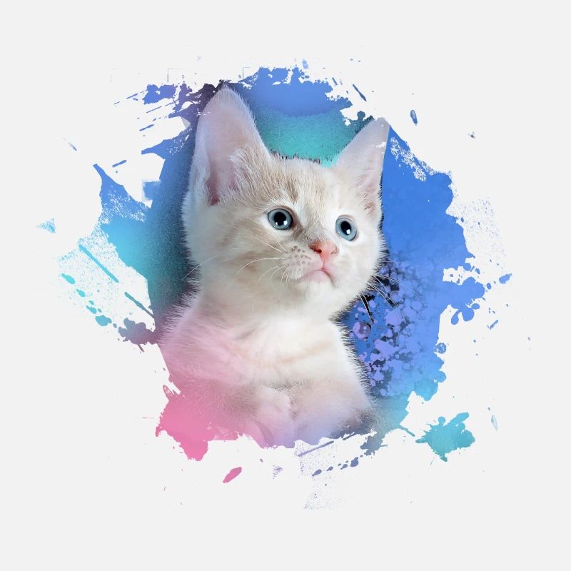 kitten,cat,kitten,graffiti,painting,pink