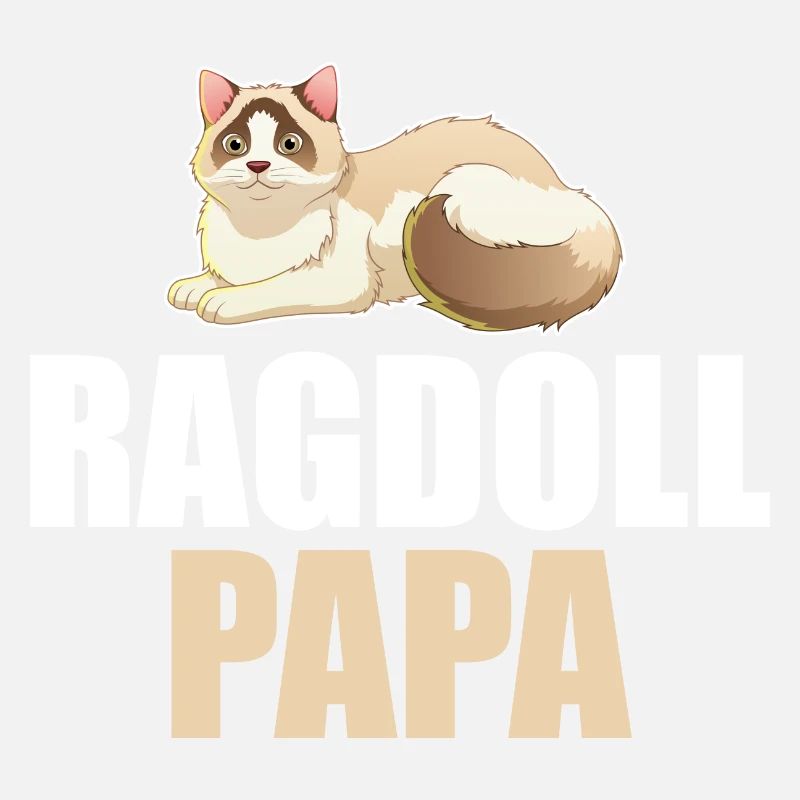 Ragdoll Cat Cat